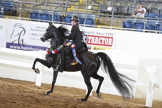 Jr Horse