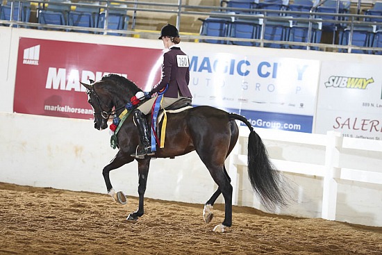 Jr Horse