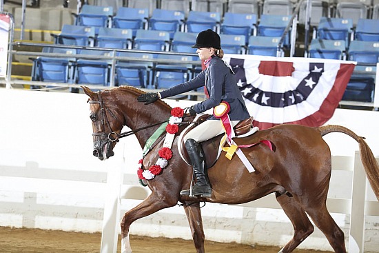 Jr Horse