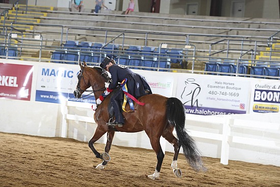Saddle Seat Equitation