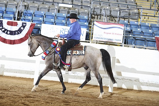 HA Ranch Rail Pleasure ATR