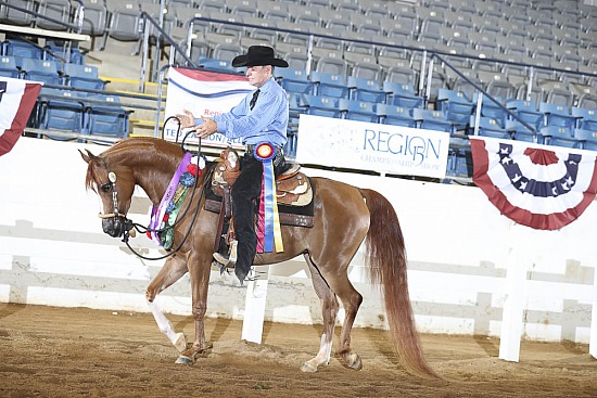 Jr Horse