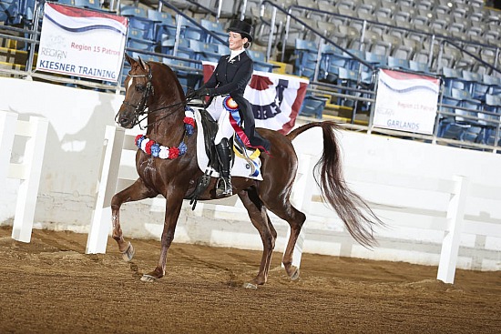 PB Show Hack ATR