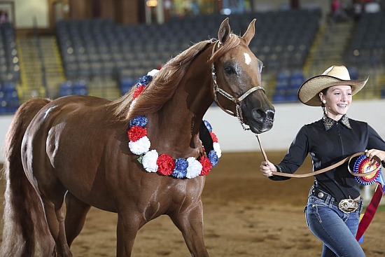 Performance Mares