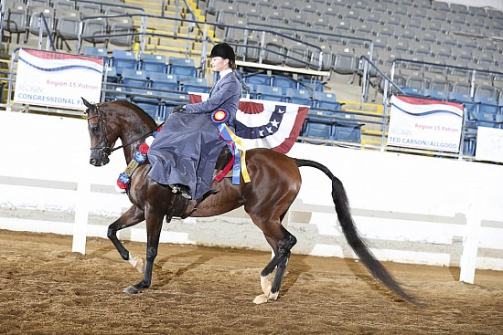 PB Side Saddle English