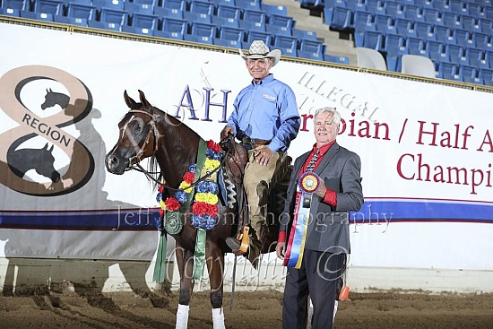 PB Reining Jr Horse