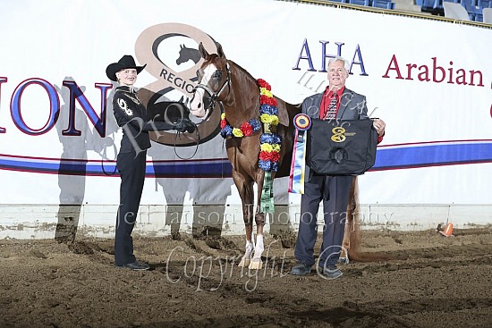 Showmanship AATH