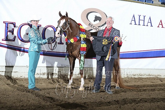 Showmanship JTH 11-14