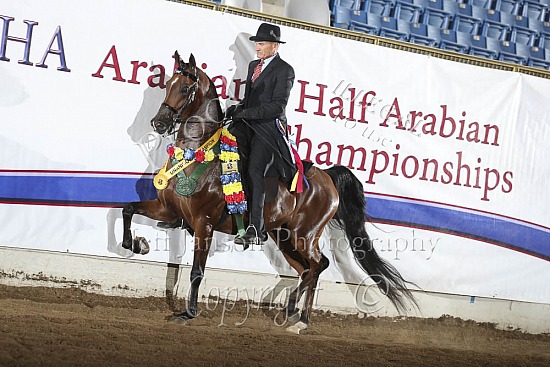 Jr Horse