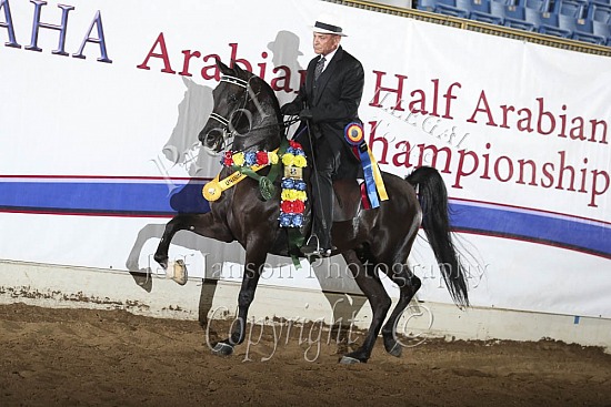 Jr Horse