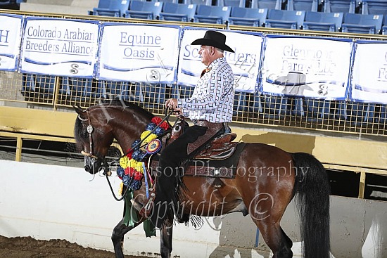 Jr Horse