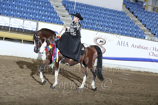 HA Side Saddle Western