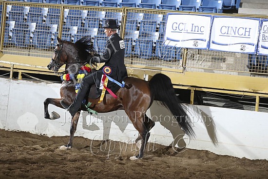 Jr Horse