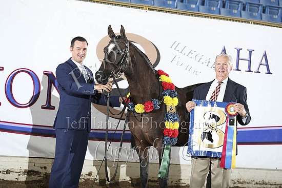 Mares 2 Yrs & Over