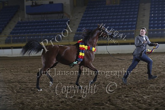 Mares AOTH