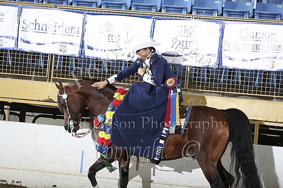 PB Side Saddle Western