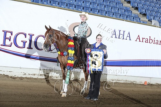 PB Reining JTR
