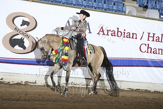 Jr Horse