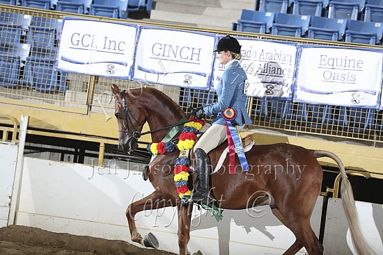 Jr Horse