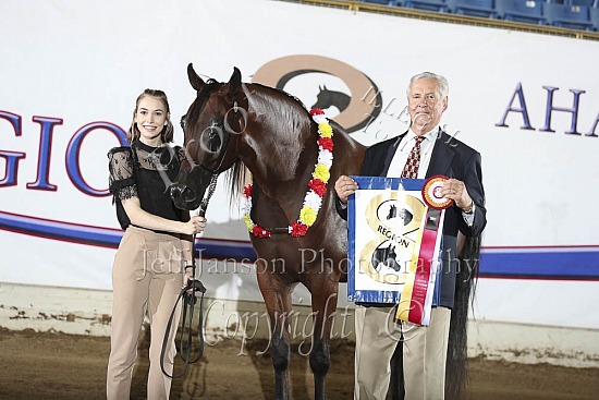 Geldings AOTH
