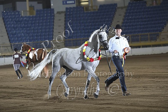 Performance Mares