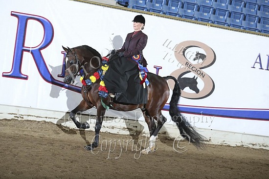 PB Side Saddle English-Hunter