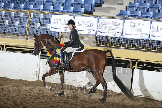 Jr Horse