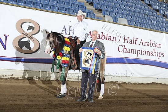 HA Reining Jr Horse