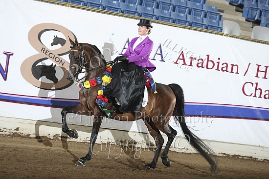 HA Side Saddle English-Hunter