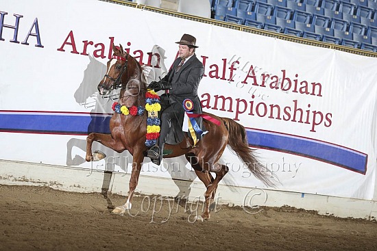 Jr Horse