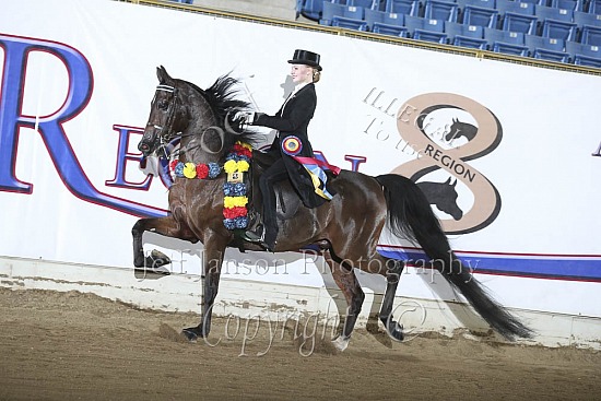 Saddle Seat Eq 15-18