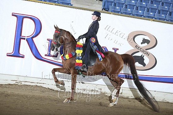 Saddle Seat Eq 14 & Under