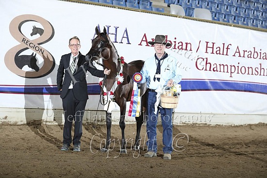 PB 2 YR Old Fillies
