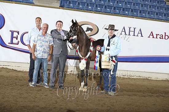 PB Yearling Colts-Geldings