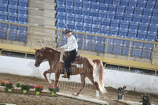 HA Trail Jr Horse
