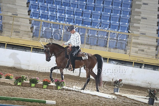 PB Trail Jr Horse