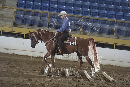 HA Ranch Riding Jr Horse