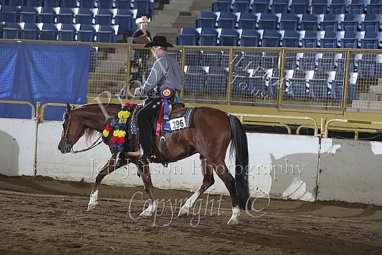HA Ranch Rail Pleasure Open