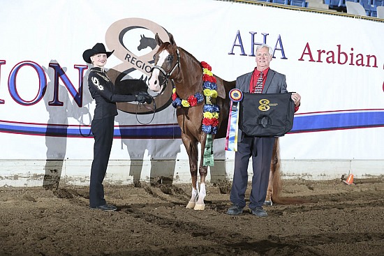 Equitation-Horsemanship-Showmanship