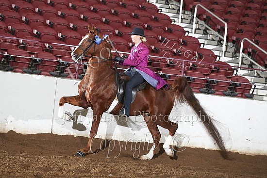 Open ATS Saddle Seat Pleasure
