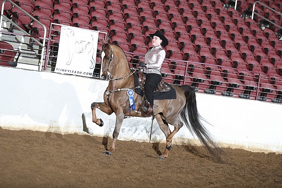 Saddle & Bridle Classes