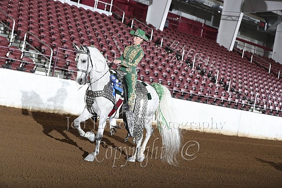 Open Parade Horse Any Breed