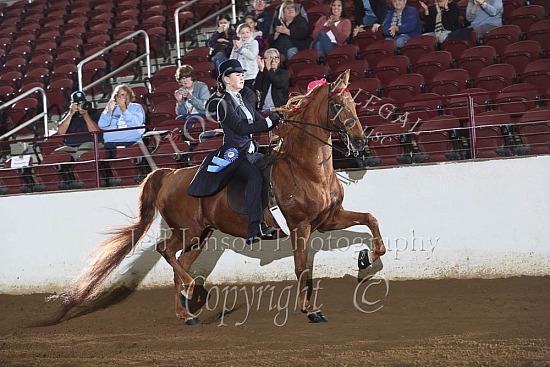 UPHA Challenge Cup, Saddleseat Eq 17 & Under