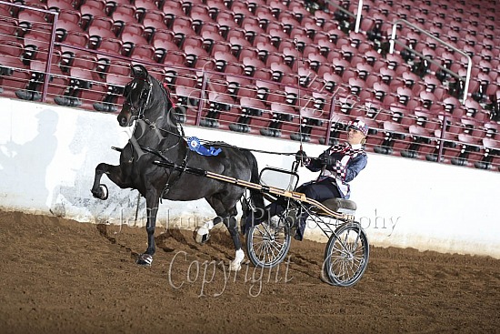 Roadster Pony to Bike, AM-AADC