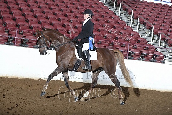 Suitable For Dressage