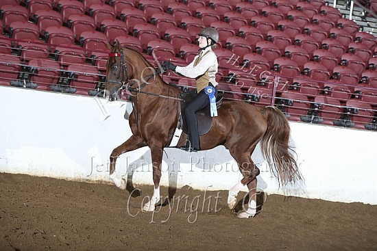 Academy Horsemanship-Eq, WTC, 13 & Under