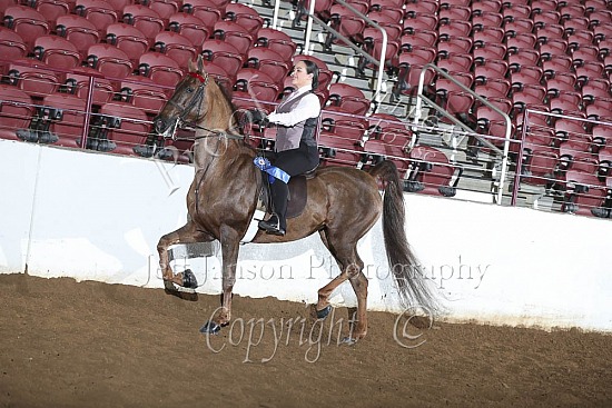 Academy Horsemanship-Eq, WTC, 18 & Over