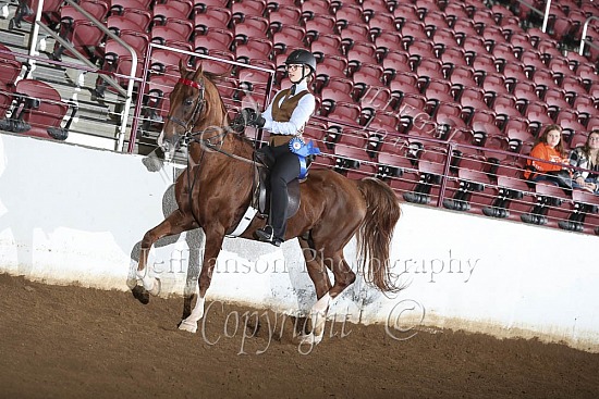 Academy Horsemanship-Equitation, WT, 11-13 And 14-17