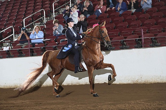 Equitation-UPHA