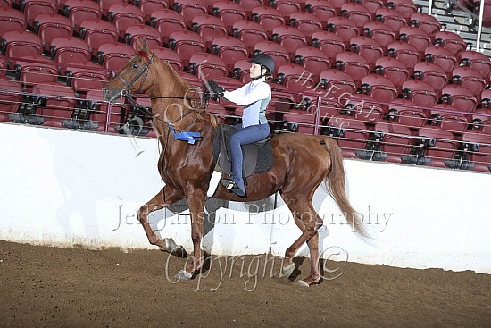 Academy Pleasure-Performance, WT, 9-10